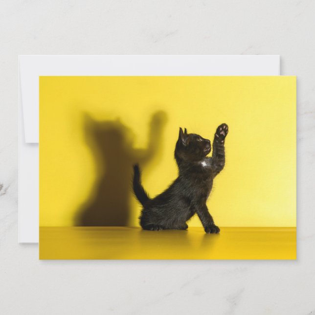 Cutest Baby Animals | Black Cat Playing Thank You Card (Front)