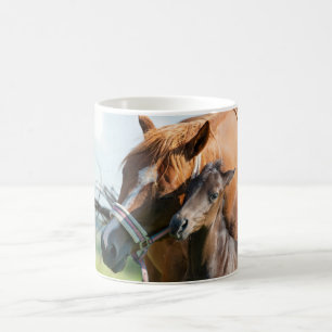 Cutest Baby Animals   Black Foal with Mum Coffee Mug