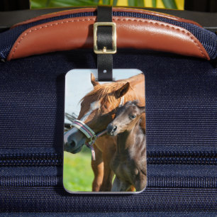 Cutest Baby Animals   Black Foal with Mum Luggage Tag