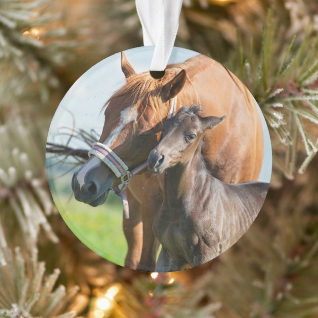 Cutest Baby Animals | Black Foal with Mum Ornament (Tree)