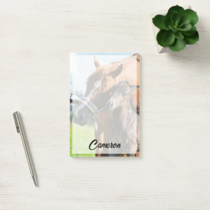 Cutest Baby Animals   Black Foal with Mum Post-it Notes