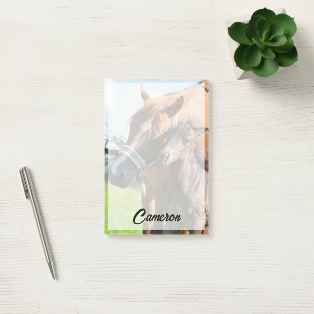 Cutest Baby Animals | Black Foal with Mum Post-it Notes (Office)