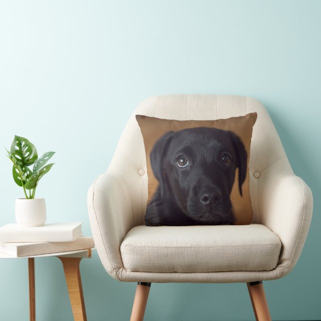 Cutest Baby Animals | Black Labrador Puppy Cushion (Chair)