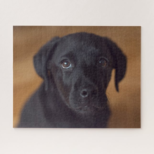 Cutest Baby Animals | Black Labrador Puppy Jigsaw Puzzle (Horizontal)