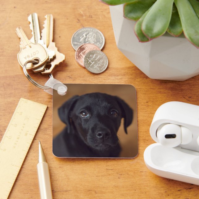 Cutest Baby Animals | Black Labrador Puppy Key Ring (Desk)