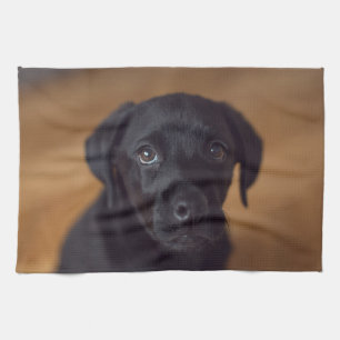 Cutest Baby Animals   Black Labrador Puppy Tea Towel