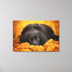 Cutest Baby Animals Black Spaniel Puppy Canvas Print