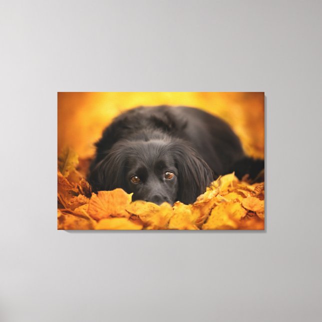 Cutest Baby Animals | Black Spaniel Puppy Canvas Print (Front)