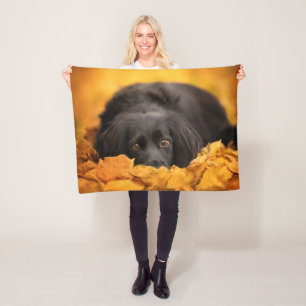 Cutest Baby Animals   Black Spaniel Puppy Fleece Blanket