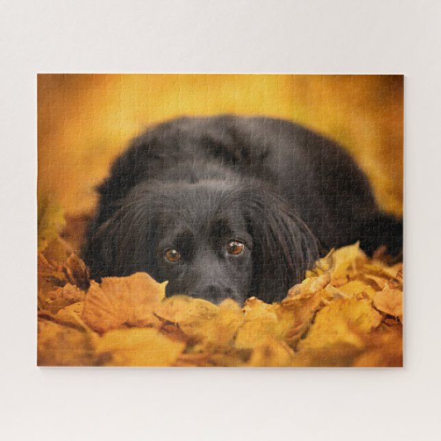 Cutest Baby Animals | Black Spaniel Puppy Jigsaw Puzzle (Horizontal)