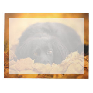 Cutest Baby Animals Black Spaniel Puppy Notepad