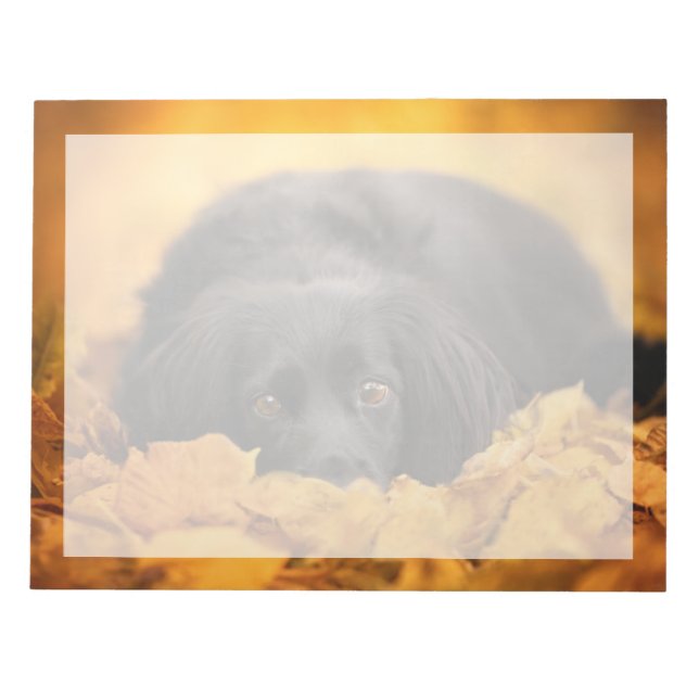 Cutest Baby Animals | Black Spaniel Puppy Notepad (Front)
