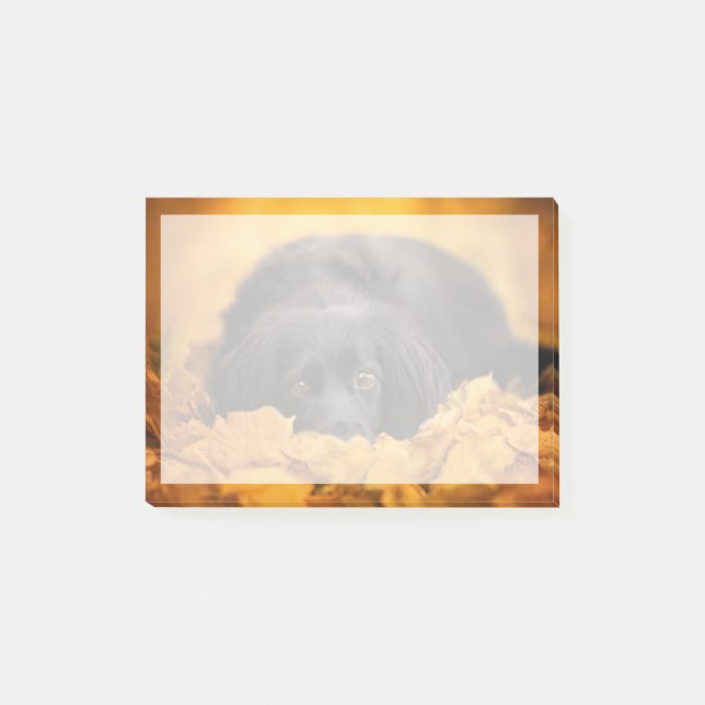 Cutest Baby Animals | Black Spaniel Puppy Post-it Notes (Front)