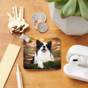 Cutest Baby Animals Black & White Border Collie Key Ring