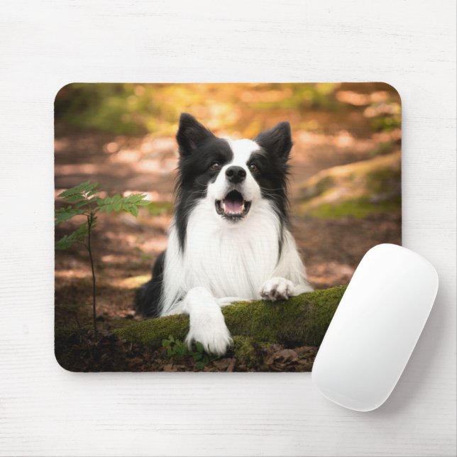 Cutest Baby Animals | Black & White Border Collie Mouse Mat (With Mouse)