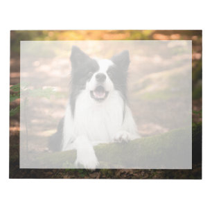 Cutest Baby Animals Black & White Border Collie Notepad