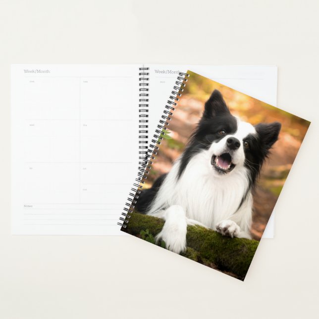 Cutest Baby Animals | Black & White Border Collie Planner (Display)