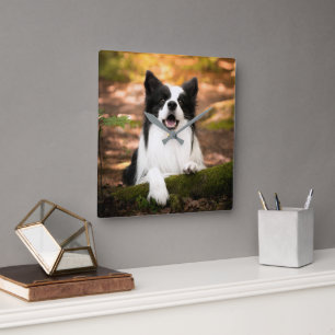 Cutest Baby Animals Black & White Border Collie Square Wall Clock