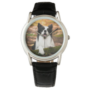 Cutest Baby Animals   Black & White Border Collie Watch