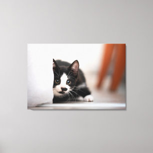 Cutest Baby Animals   Black & White Kitten Canvas Print