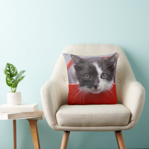 Cutest Baby Animals Black & White Kitten Cushion