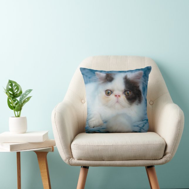 Cutest Baby Animals | Black & White Kitten Cushion (Chair)