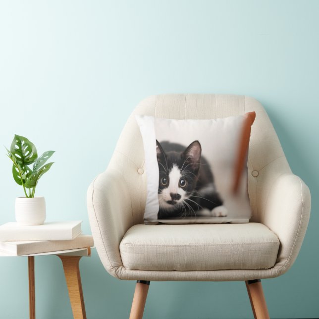 Cutest Baby Animals | Black & White Kitten Cushion (Chair)