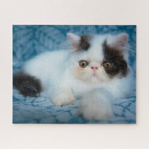 Cutest Baby Animals   Black & White Kitten Jigsaw Puzzle