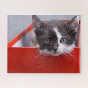 Cutest Baby Animals   Black & White Kitten Jigsaw Puzzle