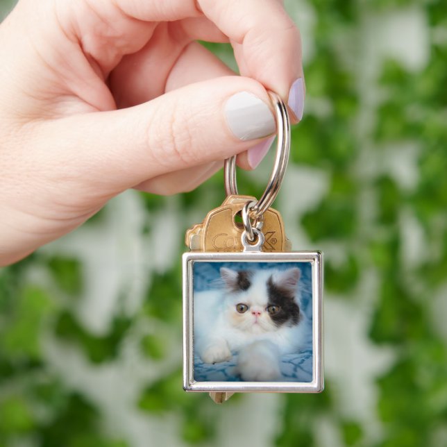 Cutest Baby Animals | Black & White Kitten Key Ring (Hand)
