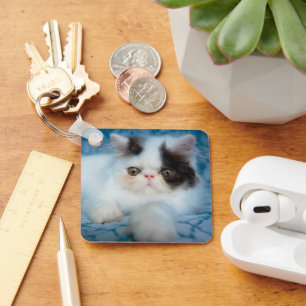Cutest Baby Animals Black & White Kitten Key Ring