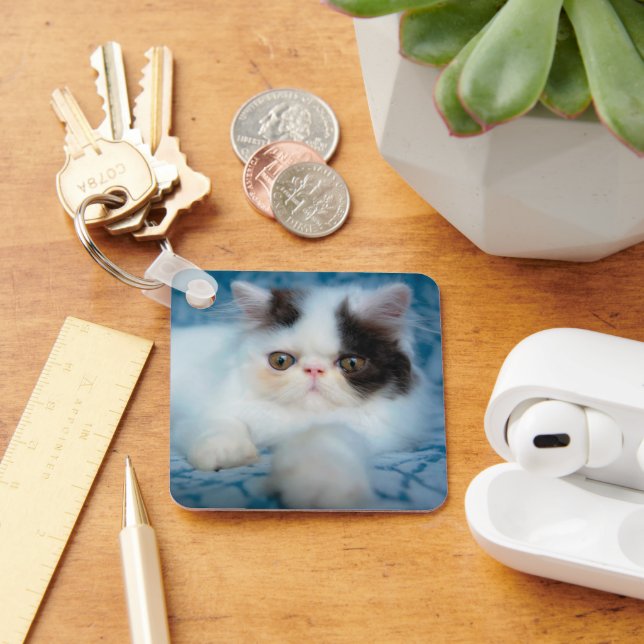 Cutest Baby Animals | Black & White Kitten Key Ring (Desk)