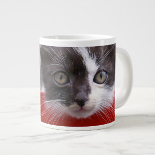 Cutest Baby Animals   Black & White Kitten Large Coffee Mug