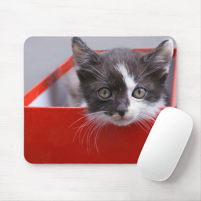 Cutest Baby Animals | Black & White Kitten Mouse Mat (With Mouse)