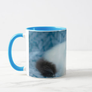 Cutest Baby Animals   Black & White Kitten Mug