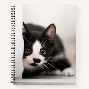 Cutest Baby Animals Black & White Kitten Notebook