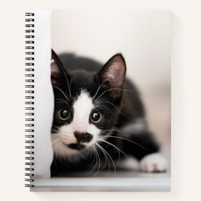Cutest Baby Animals | Black & White Kitten Notebook (Front)