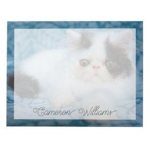 Cutest Baby Animals Black & White Kitten Notepad