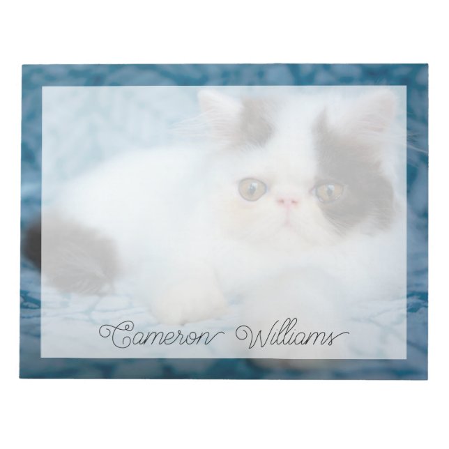 Cutest Baby Animals | Black & White Kitten Notepad (Front)