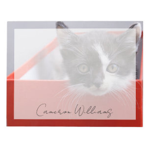 Cutest Baby Animals   Black & White Kitten Notepad