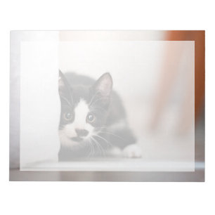 Cutest Baby Animals Black & White Kitten Notepad