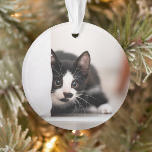 Cutest Baby Animals   Black & White Kitten Ornament