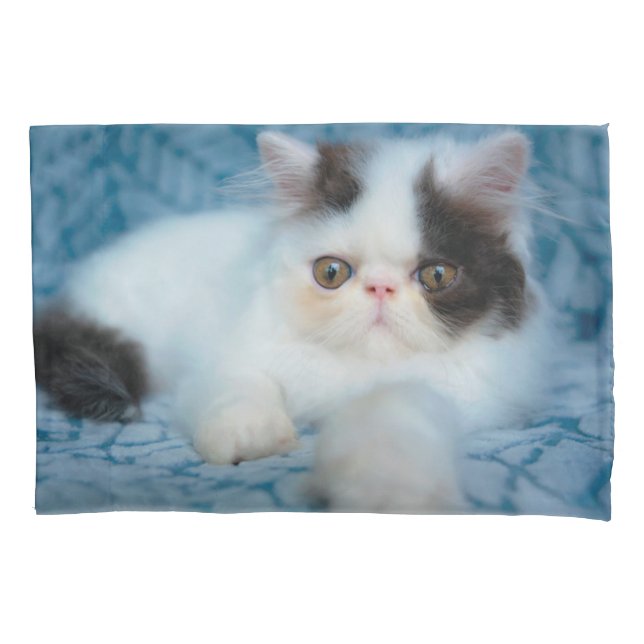 Cutest Baby Animals | Black & White Kitten Pillowcase (Front)