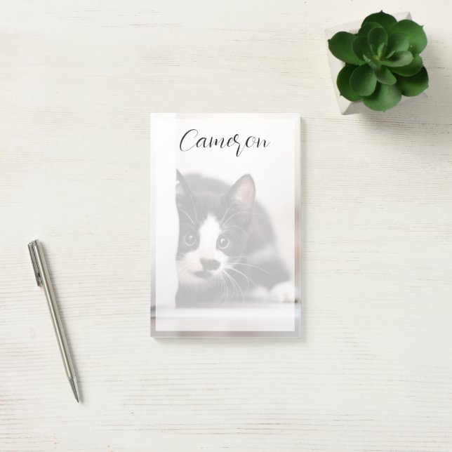 Cutest Baby Animals | Black & White Kitten Post-it Notes (Office)