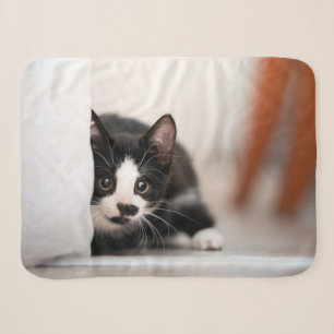 Cutest Baby Animals Black & White Kitten Sherpa Blanket
