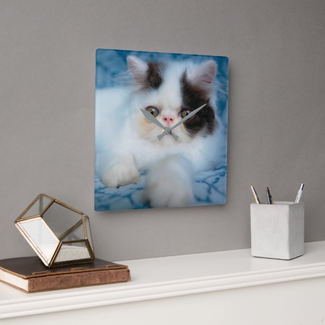 Cutest Baby Animals | Black & White Kitten Square Wall Clock (Office)