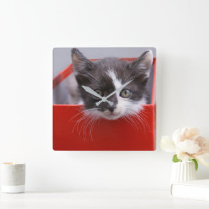 Cutest Baby Animals   Black & White Kitten Square Wall Clock