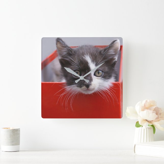 Cutest Baby Animals | Black & White Kitten Square Wall Clock (Home)