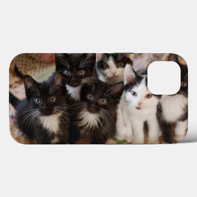 Cutest Baby Animals | Black & White Kittens Case-Mate iPhone Case (Back (Horizontal))