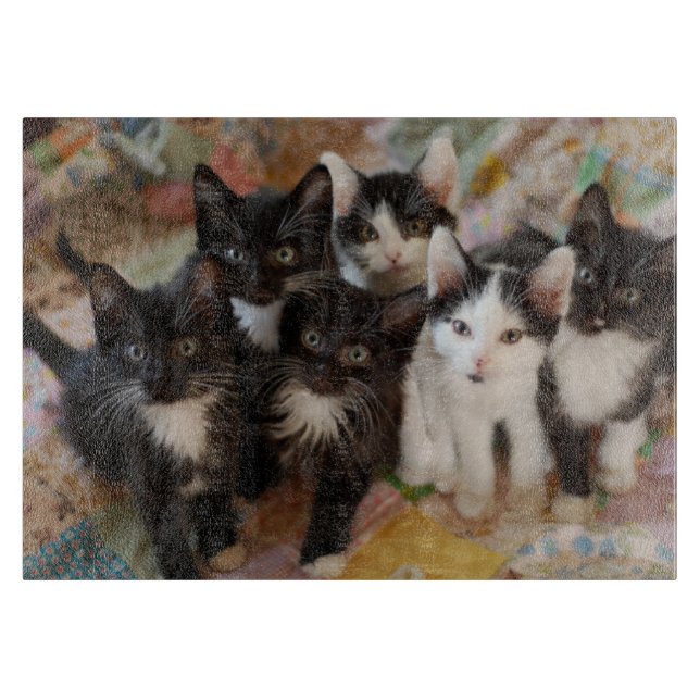 Cutest Baby Animals | Black & White Kittens Cutting Board (Front)